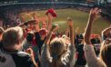 Baseball What baseball fights tell us about ourselves