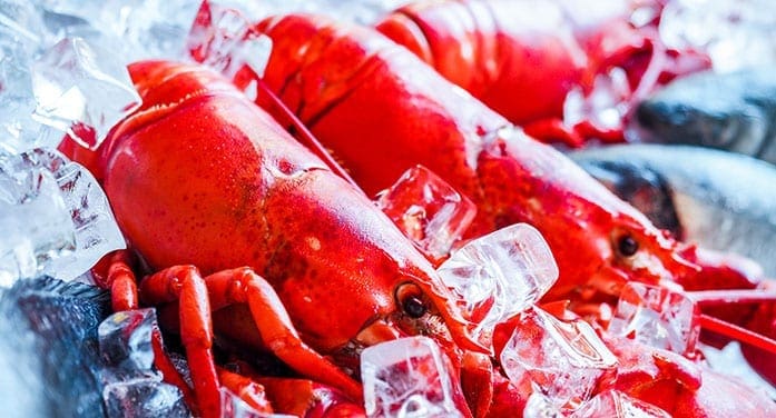 History shows a path to resolve lobster fisheries dispute