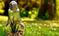 climate change O’Toole pledges swift and effective action on climate change