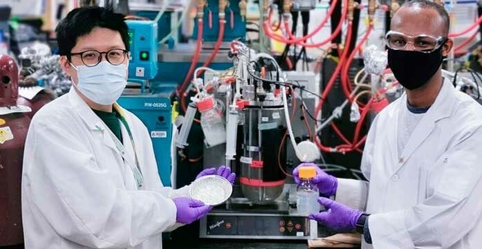 Waste into ethanol Researchers brewing up better ways to turn plant waste into ethanol