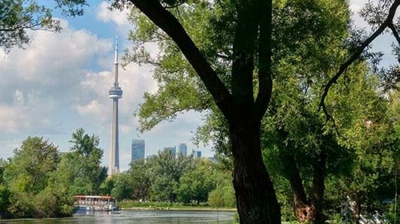 toronto island Toronto mayor needs to end his $3.8B vanity project pipedream